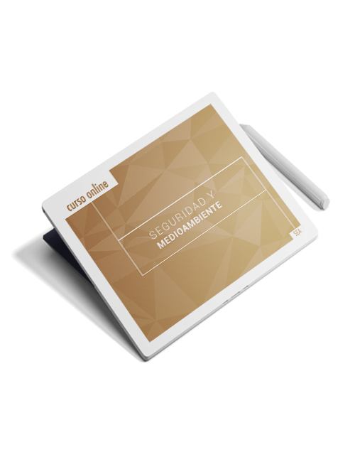 SEAD082PO F.E.V.S.: vigilancia en centros de internamiento y dependencias de seguridad 1 SEAD082PO F.E.V.S.: vigilancia en centros de internamiento y dependencias de seguridad