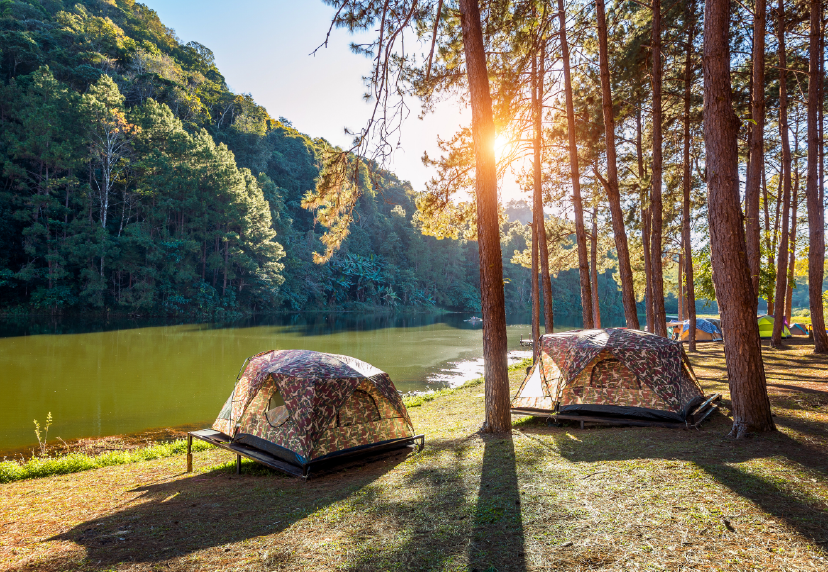 ¿Qué es el ecoturismo o turismo ecológico? 1 ecoturismo